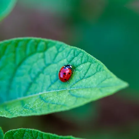 Kuca Za Odmor Divna Mati *