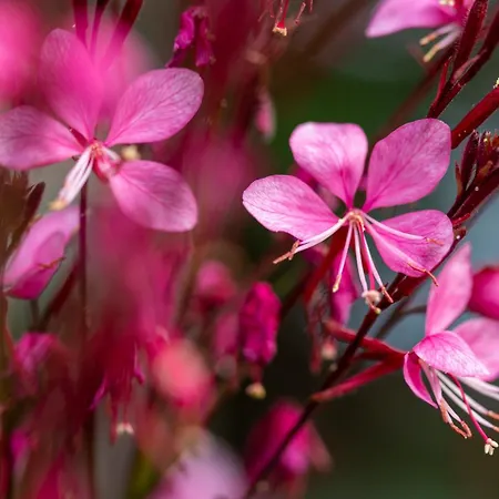 Villa Kuca Za Odmor Divna Mati Trpanj