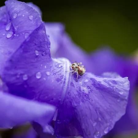 Kuca Za Odmor Divna Mati